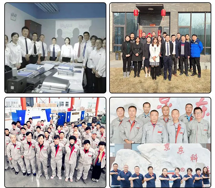 Our Professional Team