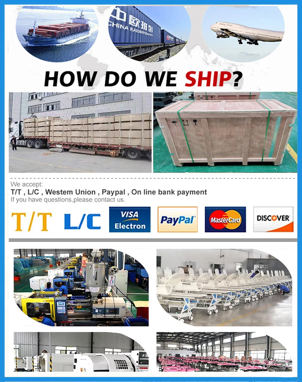 Packaging & Shipping