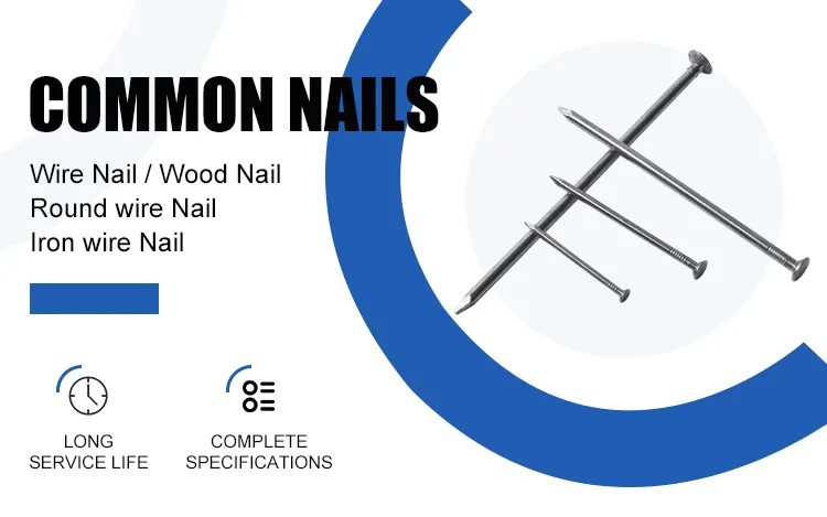 Bullet Head Upholstery Nails Decorative for Furniture Assembly and Cabinetry Skirting