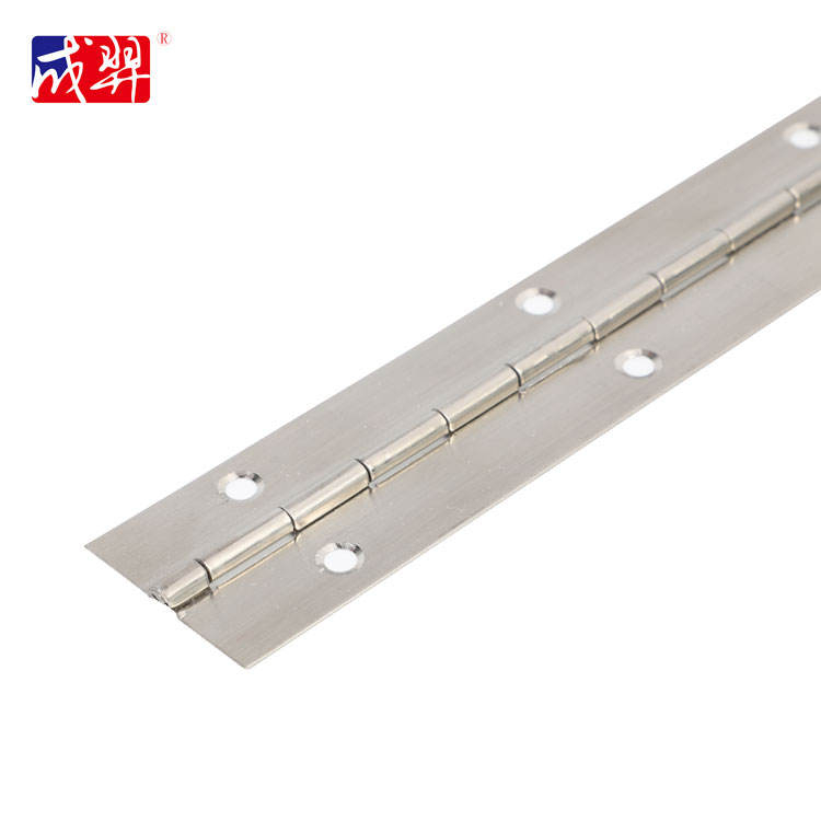 Hot Sale Customized Stainless Steel 201 Continuous Long Cabinet Piano Hinges for Furniture