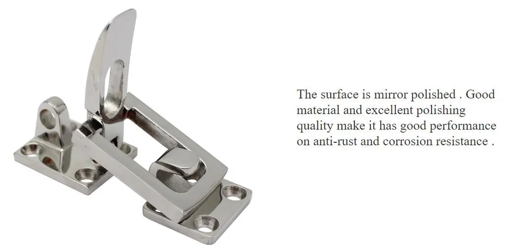 Stainless Steel Hasp Latch Buckle Details