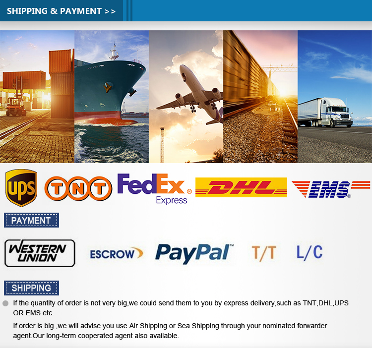 Payment details