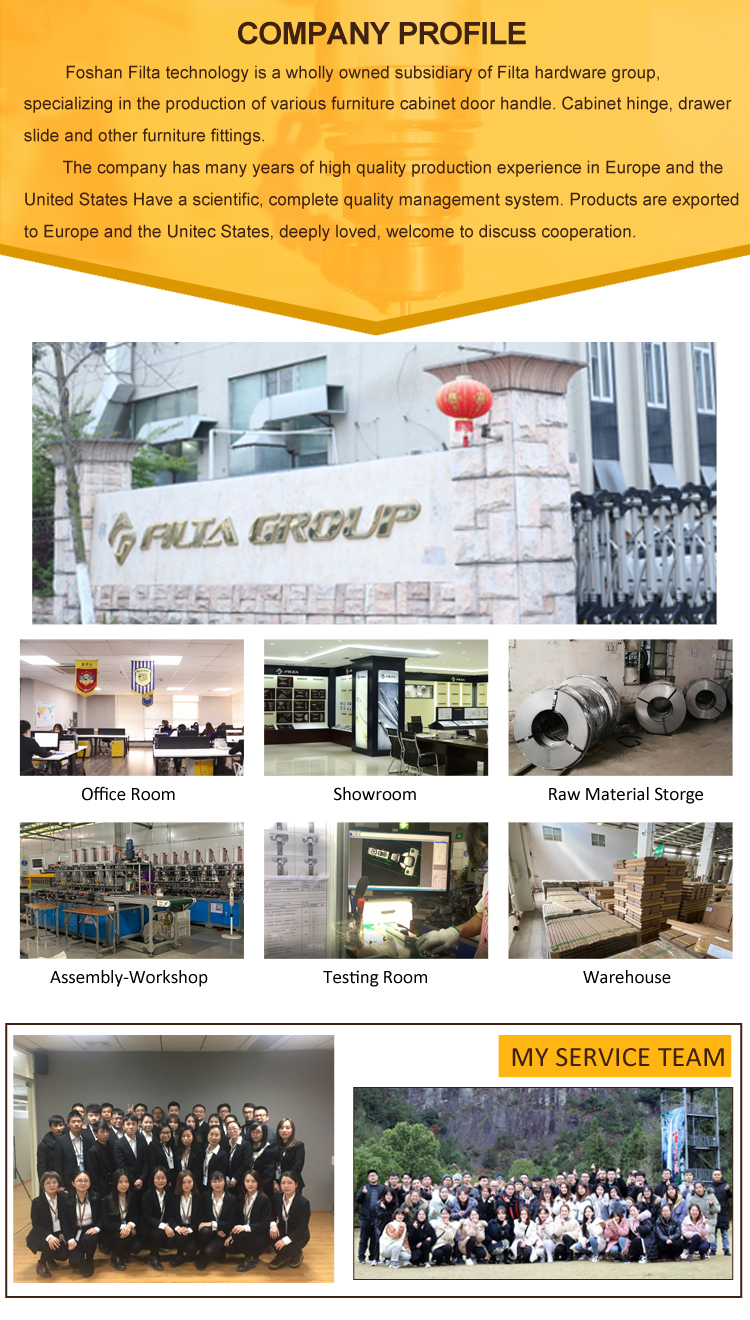 Company Introduction Overview