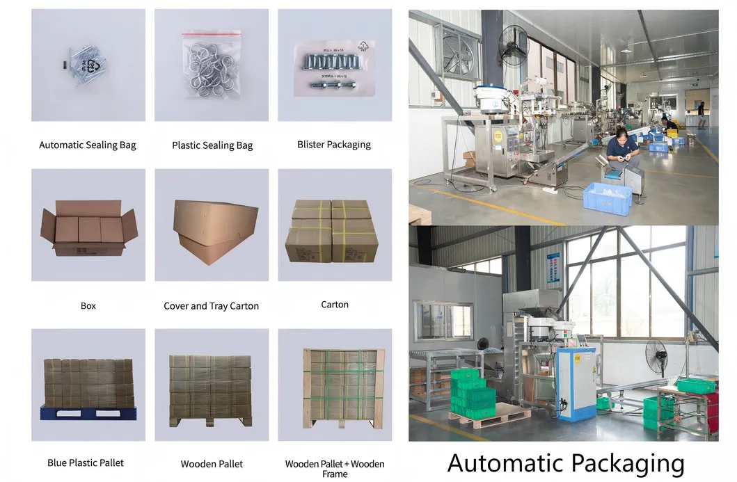 Packaging Standard Details