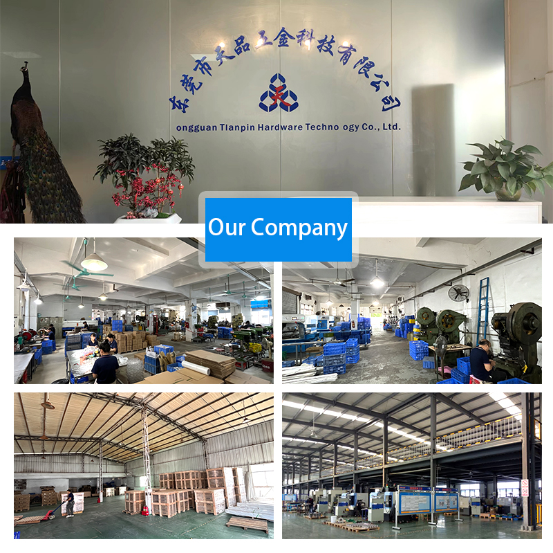 Company Profile