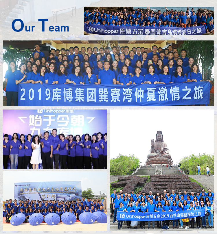 Company Professional Team