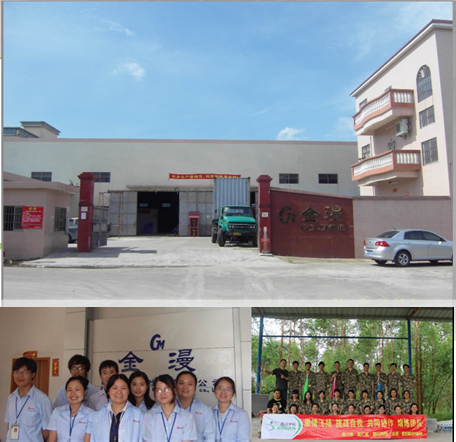 Professional Office and Team Members