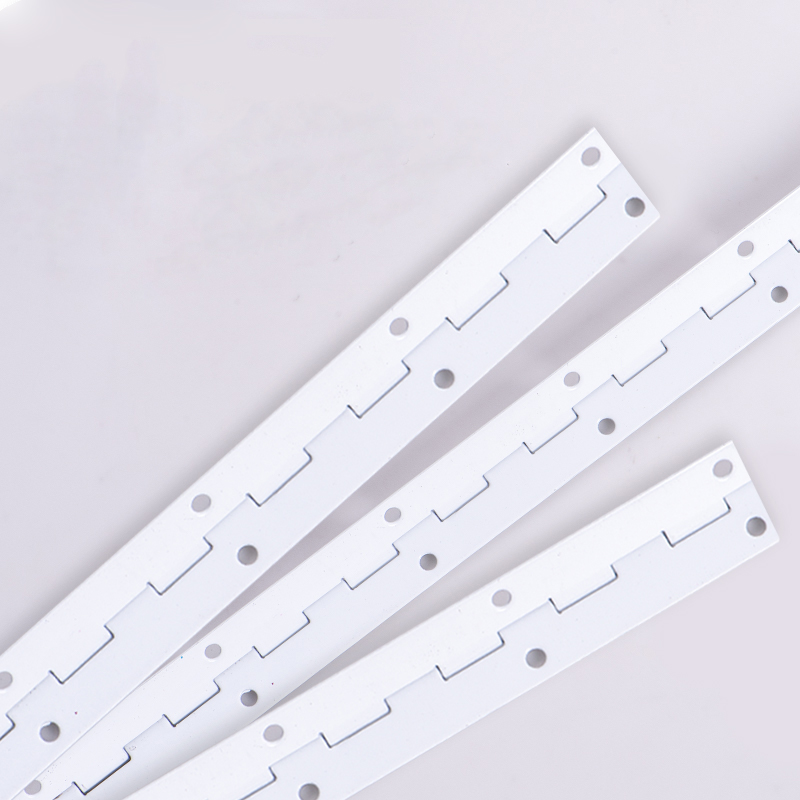 Heavy Duty Hinges for Steel Doors Furniture Accessories Long Gate Strip Hinge Truck Door 201 304 SS Aluminum Iron Materials