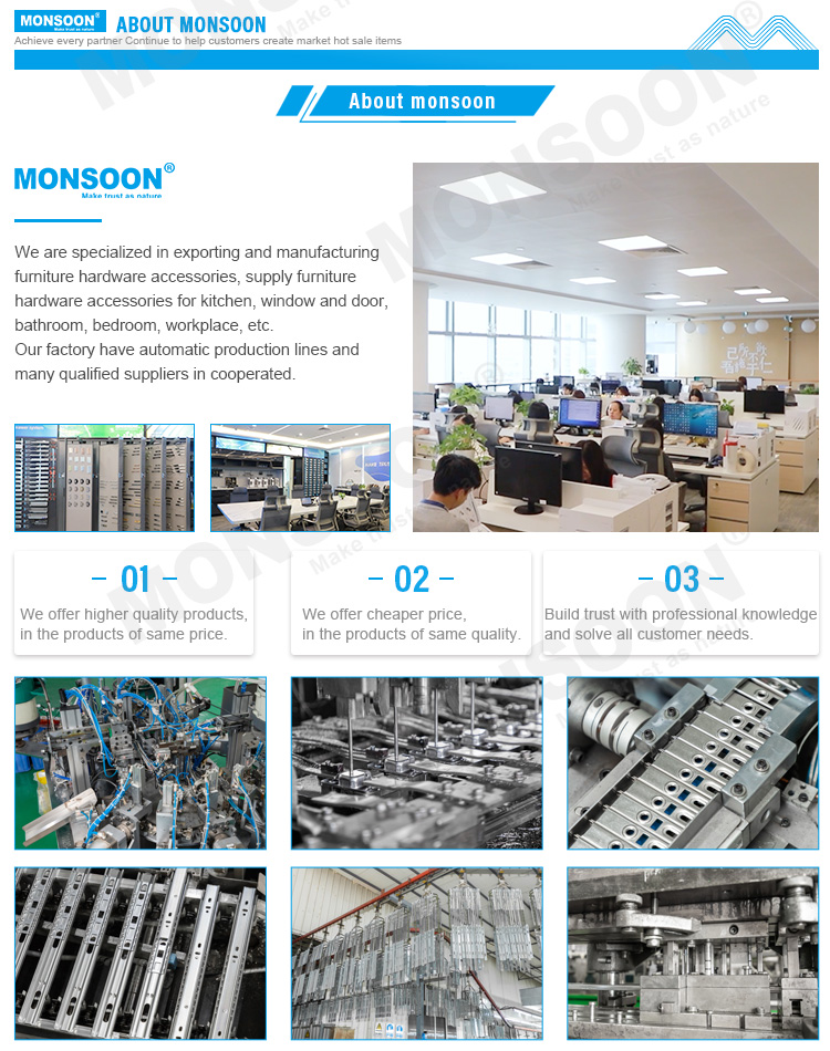 Manufacturing Facilities