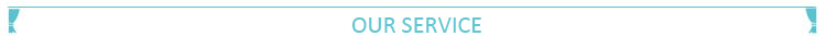 Our Service Header