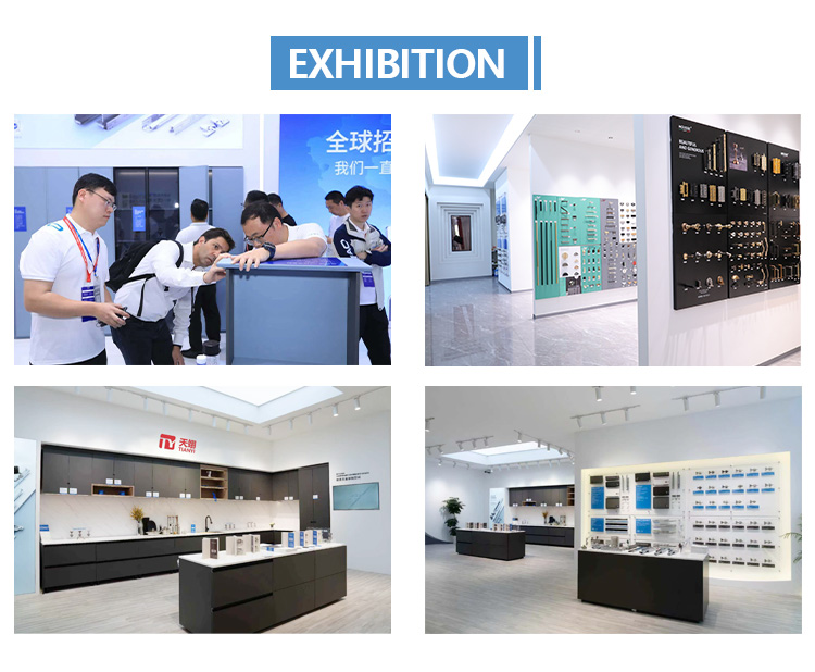 Exhibition Show