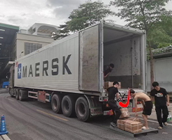 Container Loaded Stage