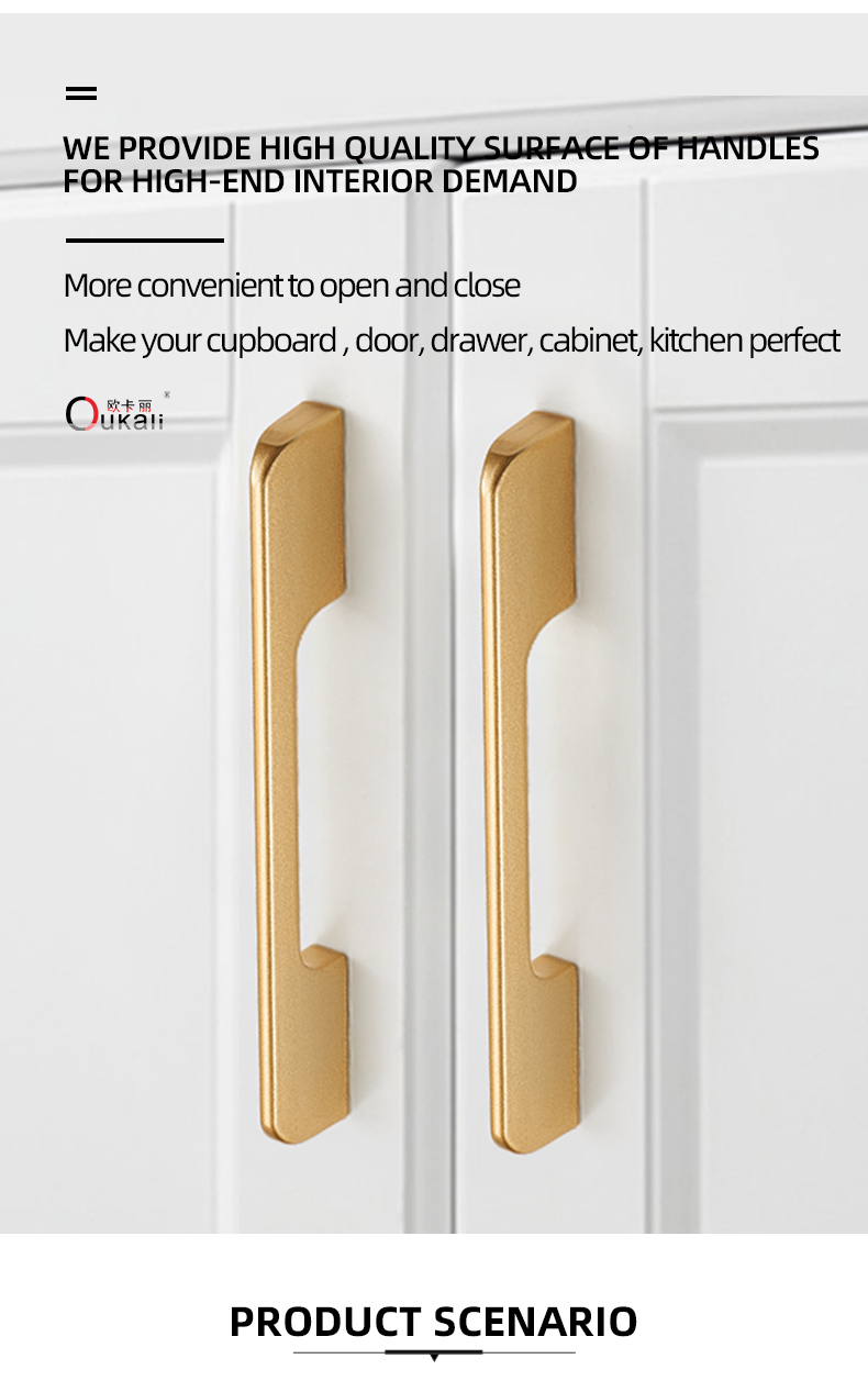 Modern Luxury Handle View 4