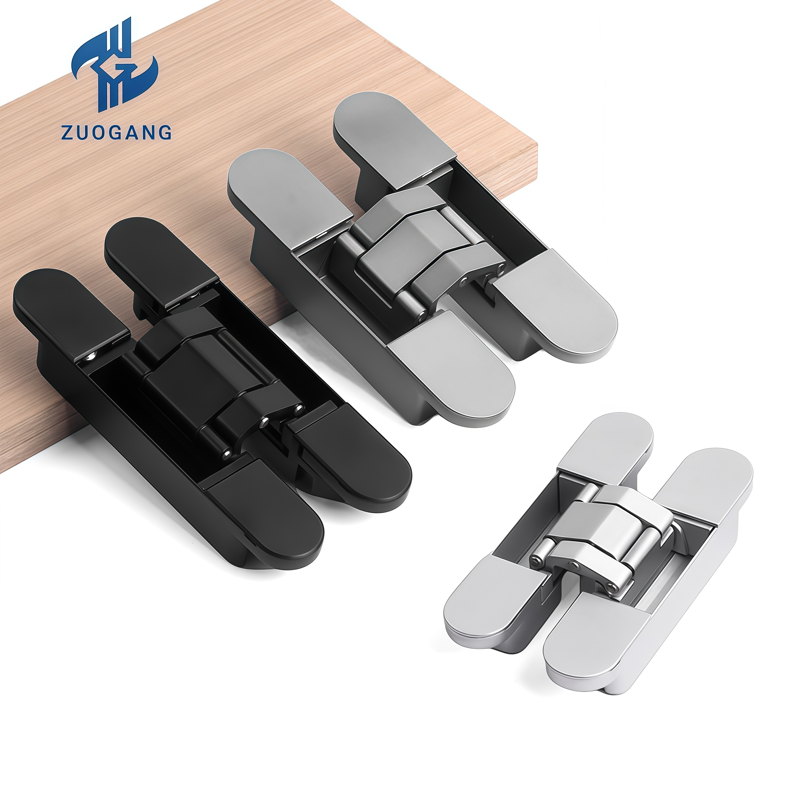 Hidden door hinges style view 6