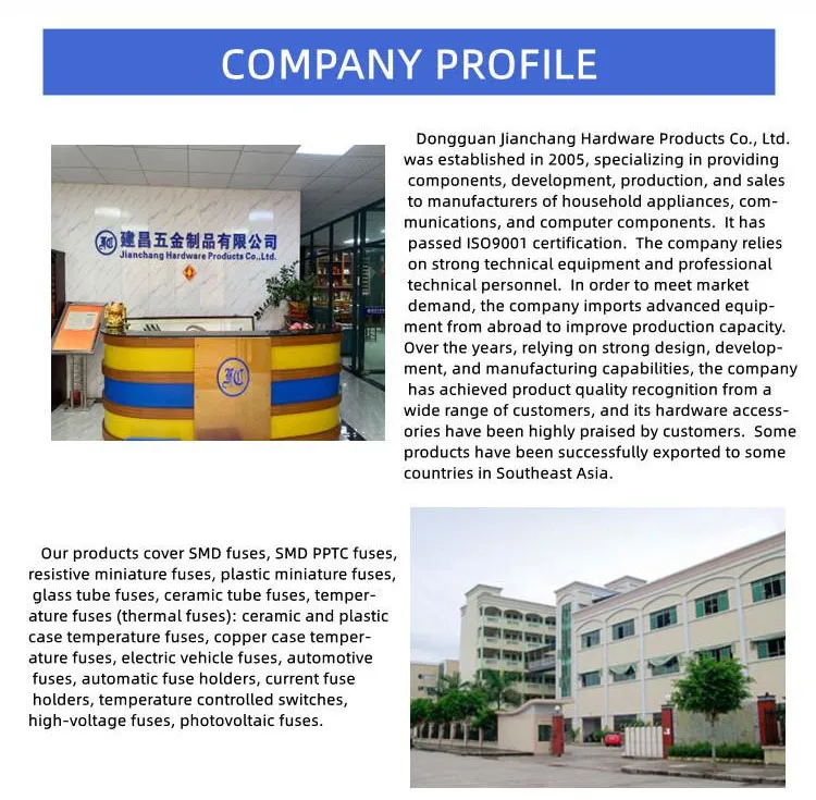 Company Profile Details