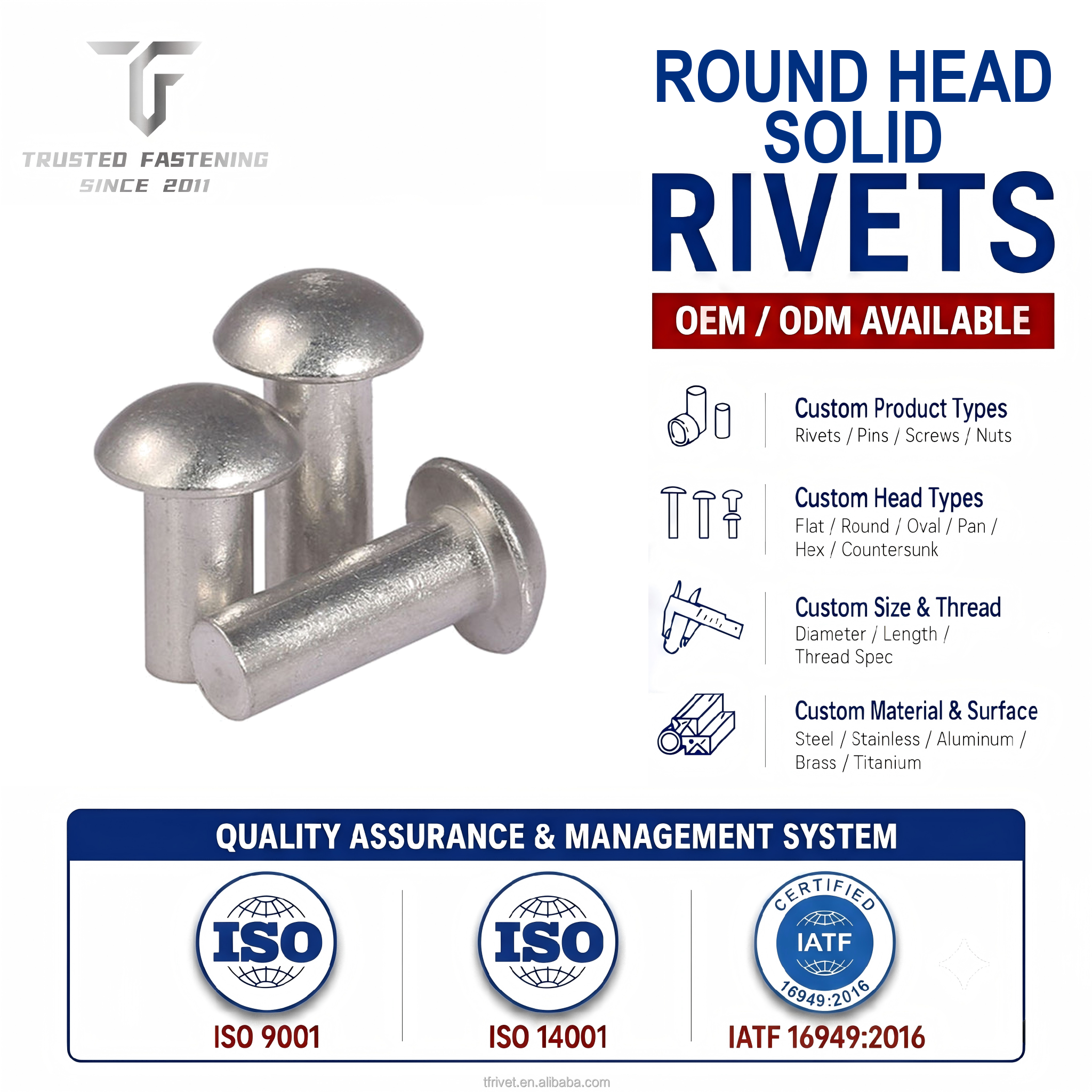 TianFang Copper/Iron Mirror Polished Stainless Steel Round Head Solid Rivet For Decorative Hardware &amp; Furniture OEM Buyers
