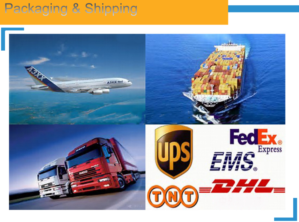 Packaging and Shipping Options