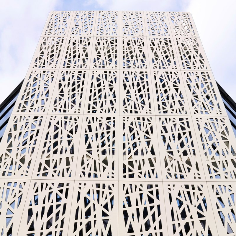 Custom Aluminum Panel Facade Decorative Metal Cladding System for Curtain Wall