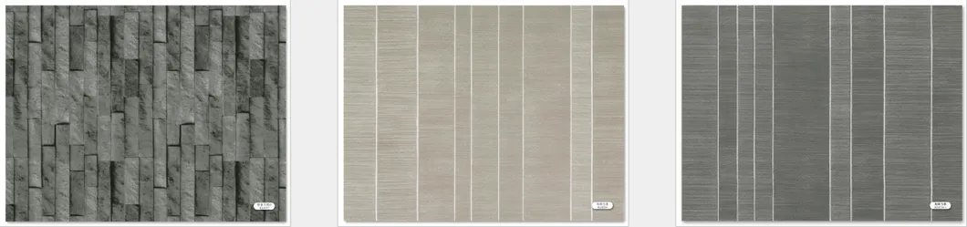 application showcase 3