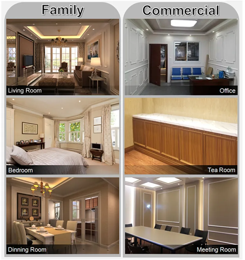 Interior Application 2