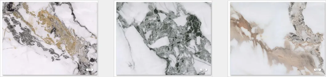 application showcase 4