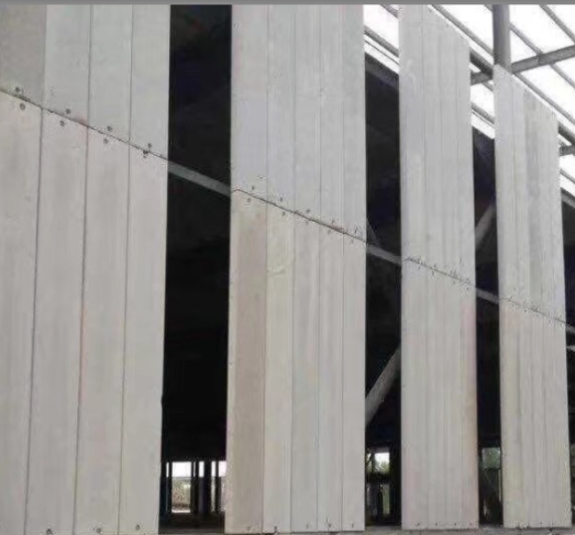 AAC Lightweight Partition Wall Interior and Exterior Cement Wall Panel