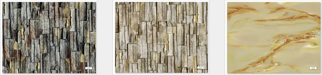 application showcase 5