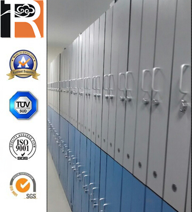 Building Material 3mm 4mm 5mm 6mm 8mm Waterproof Compact Laminate HPL Fireproof Board Wall Panel HPL Laminate Sheet for Furniture/Kitchens/Bathrooms