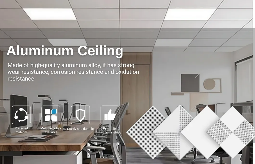 Ceiling Installation View