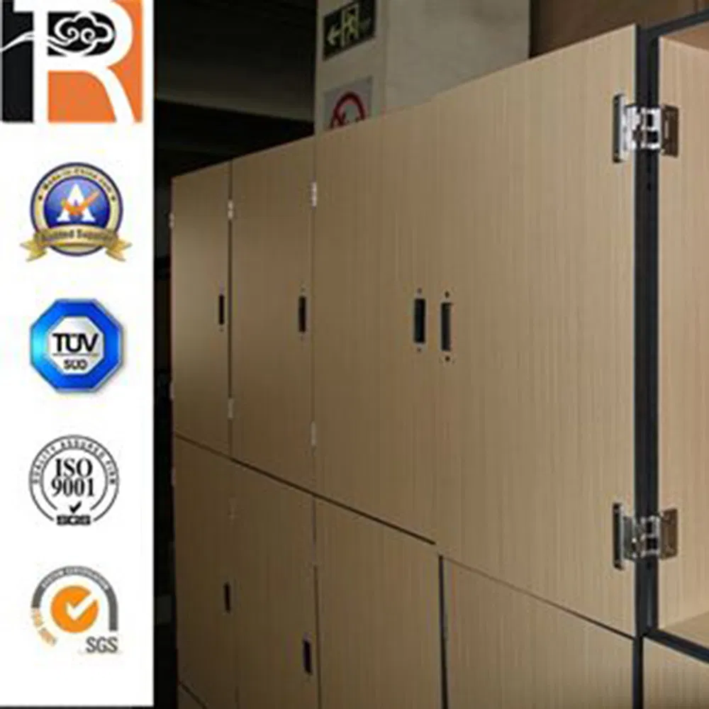 Building Material 3mm 4mm 5mm 6mm 8mm Waterproof Compact Laminate HPL Fireproof Board Wall Panel HPL Laminate Sheet for Furniture/Kitchens/Bathrooms