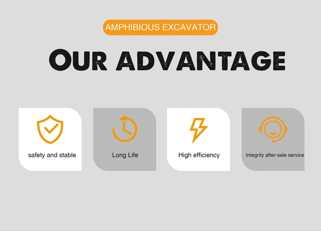 Amphibious Excavator View 2