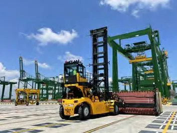 8 Layer Empty Container Handler Detail