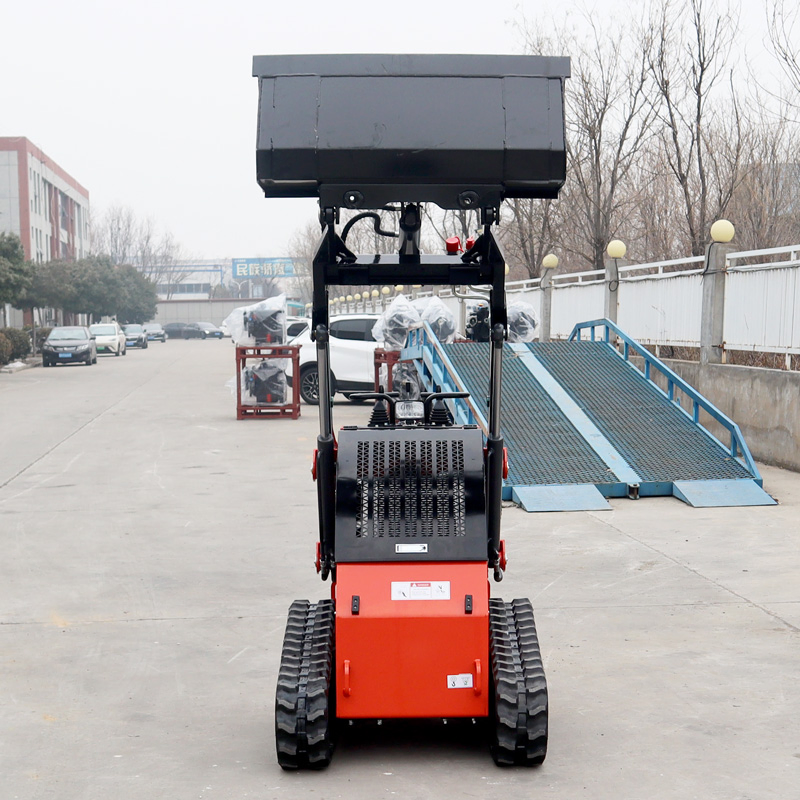 Compact Farm Skid Loader 360kg Mini Track Loader Custom Color