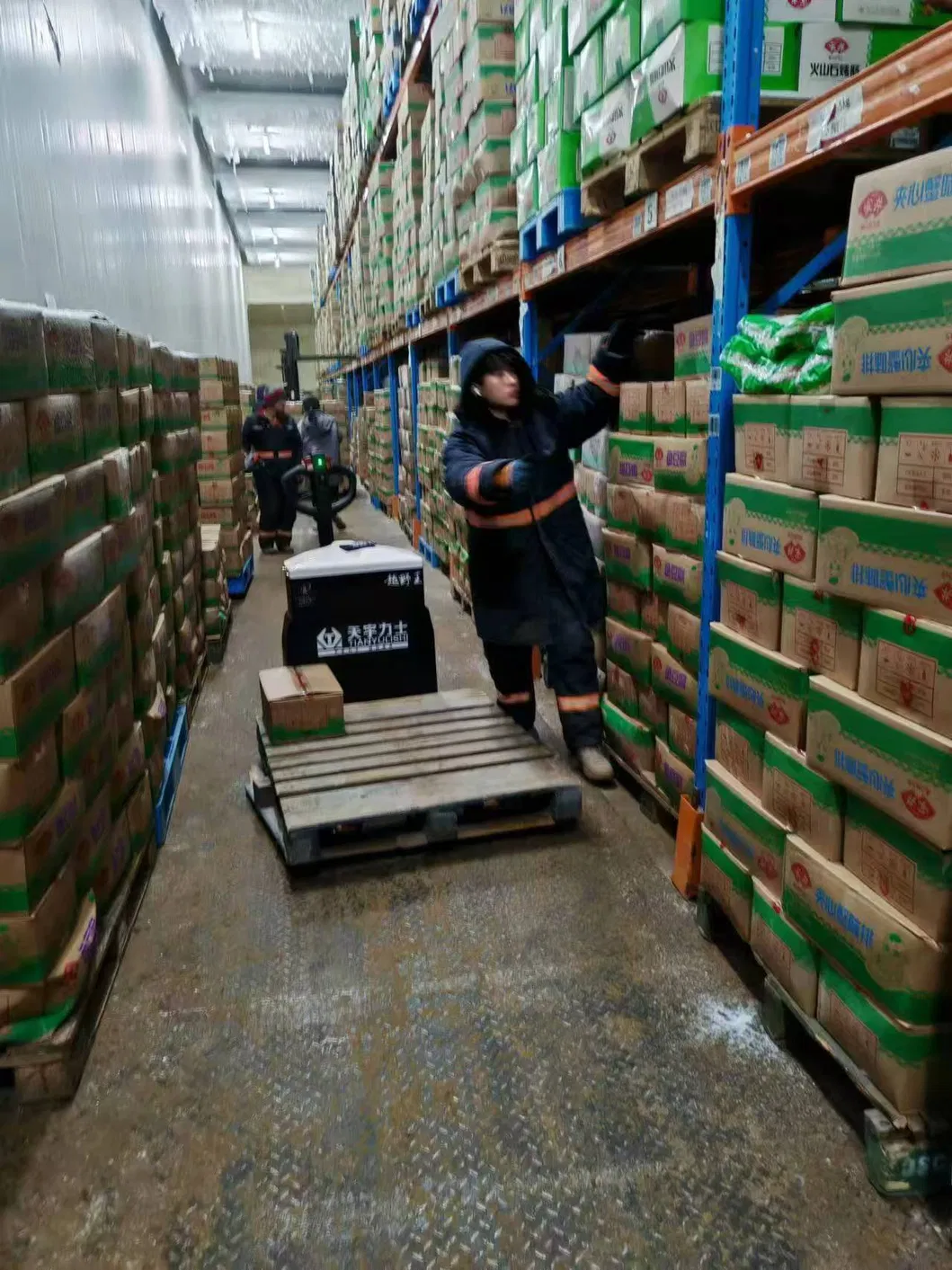 Electric Pallet Jack Detail 2