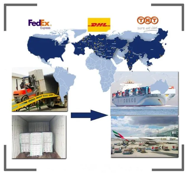 Presencia global del mercado de exportación