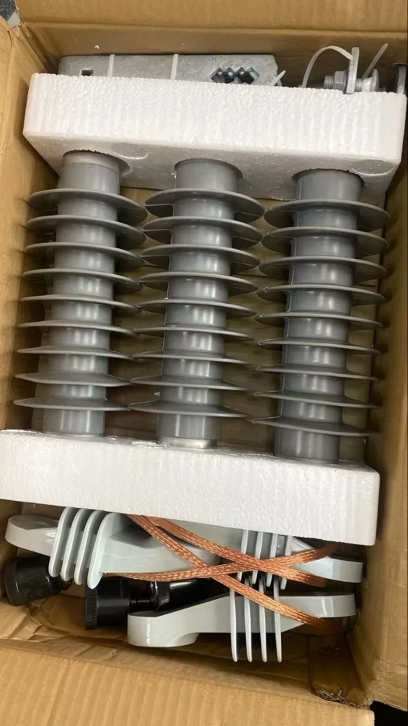 Norma IEC 24kv Aisladores de Pararrayos Poliméricos