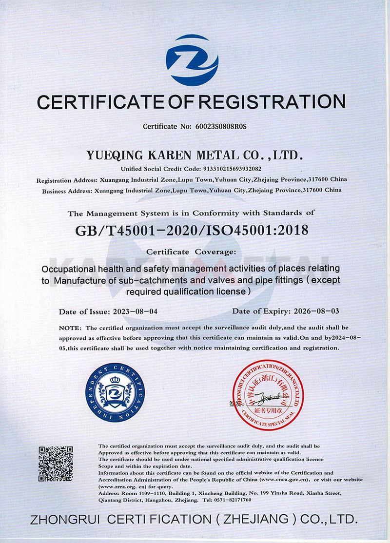 Certificado 5