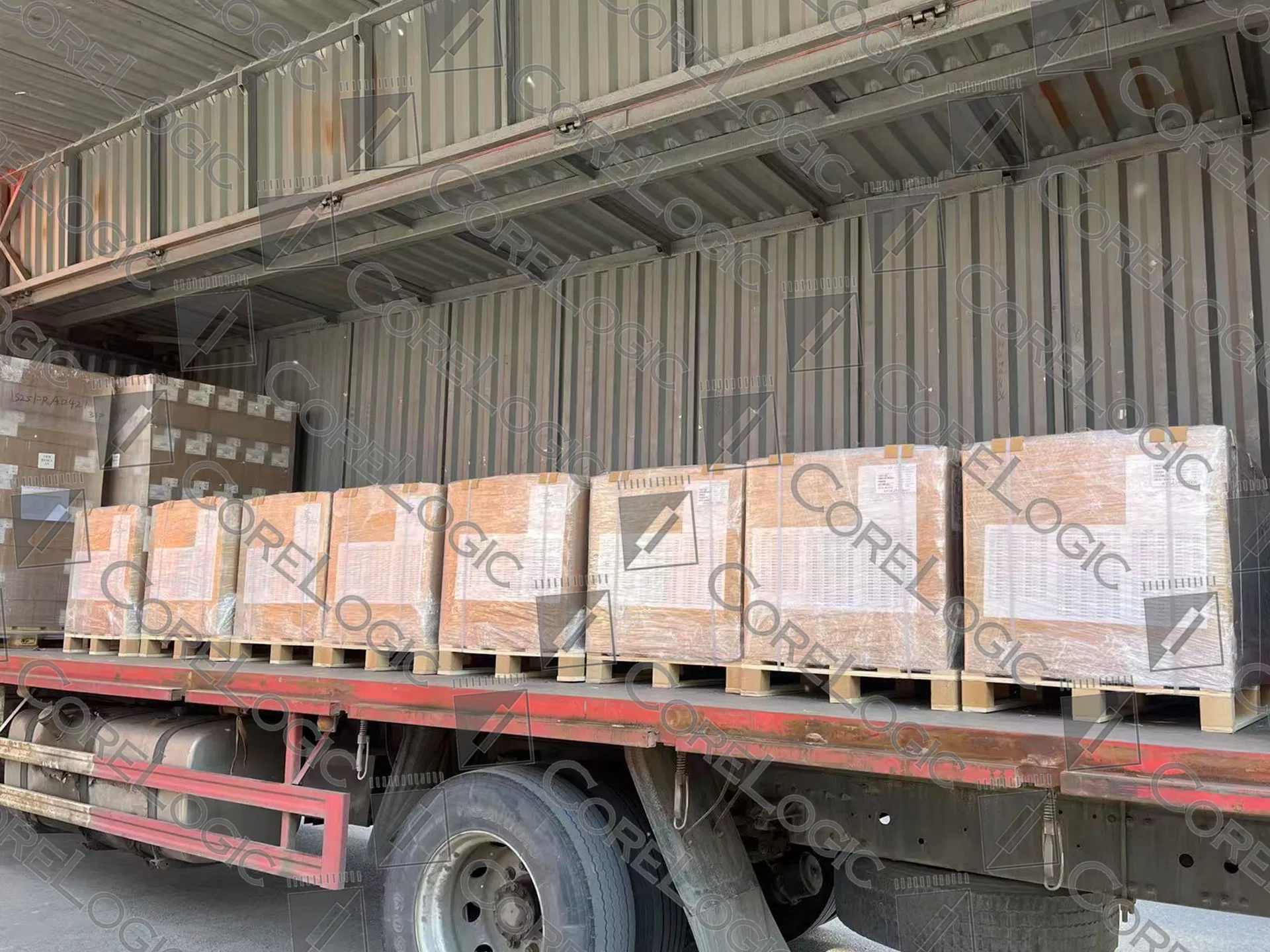 Proceso de embalaje profesional y exportación
