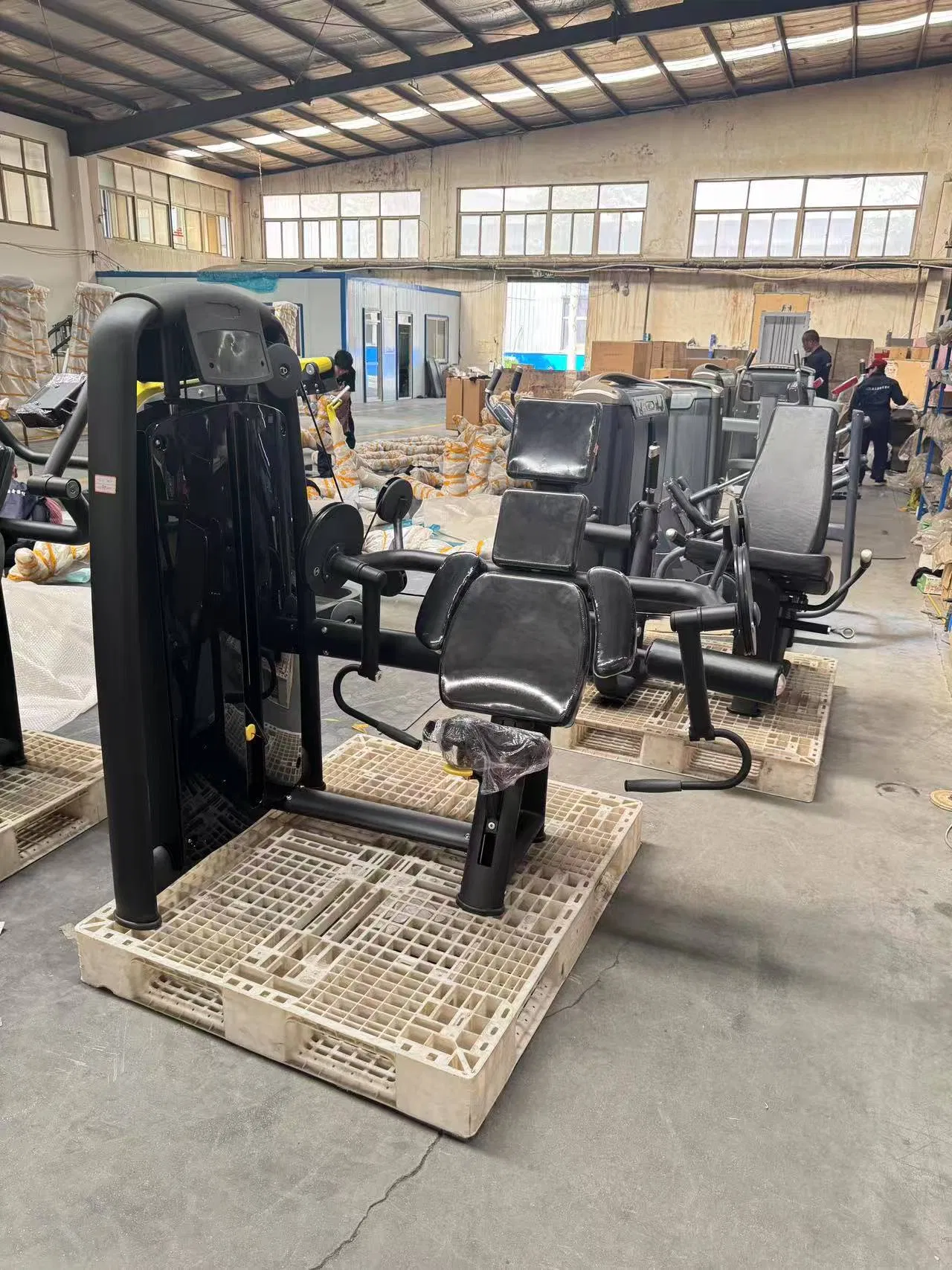 Máquina de Curl de Bíceps Aislada Comercial