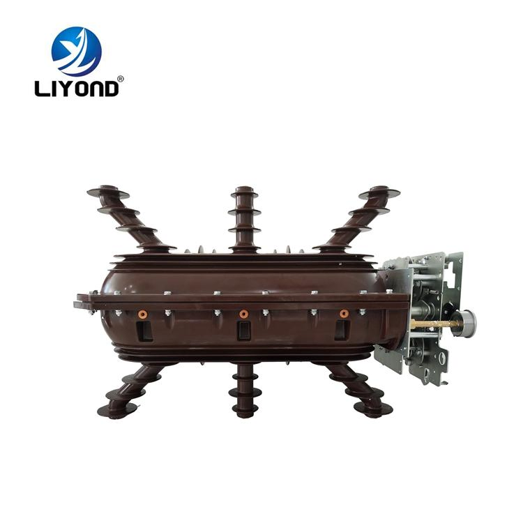 35kv 36kv Rmu Sf6 Interruptor de Carga de Ruptura Tipo Interior Lbs