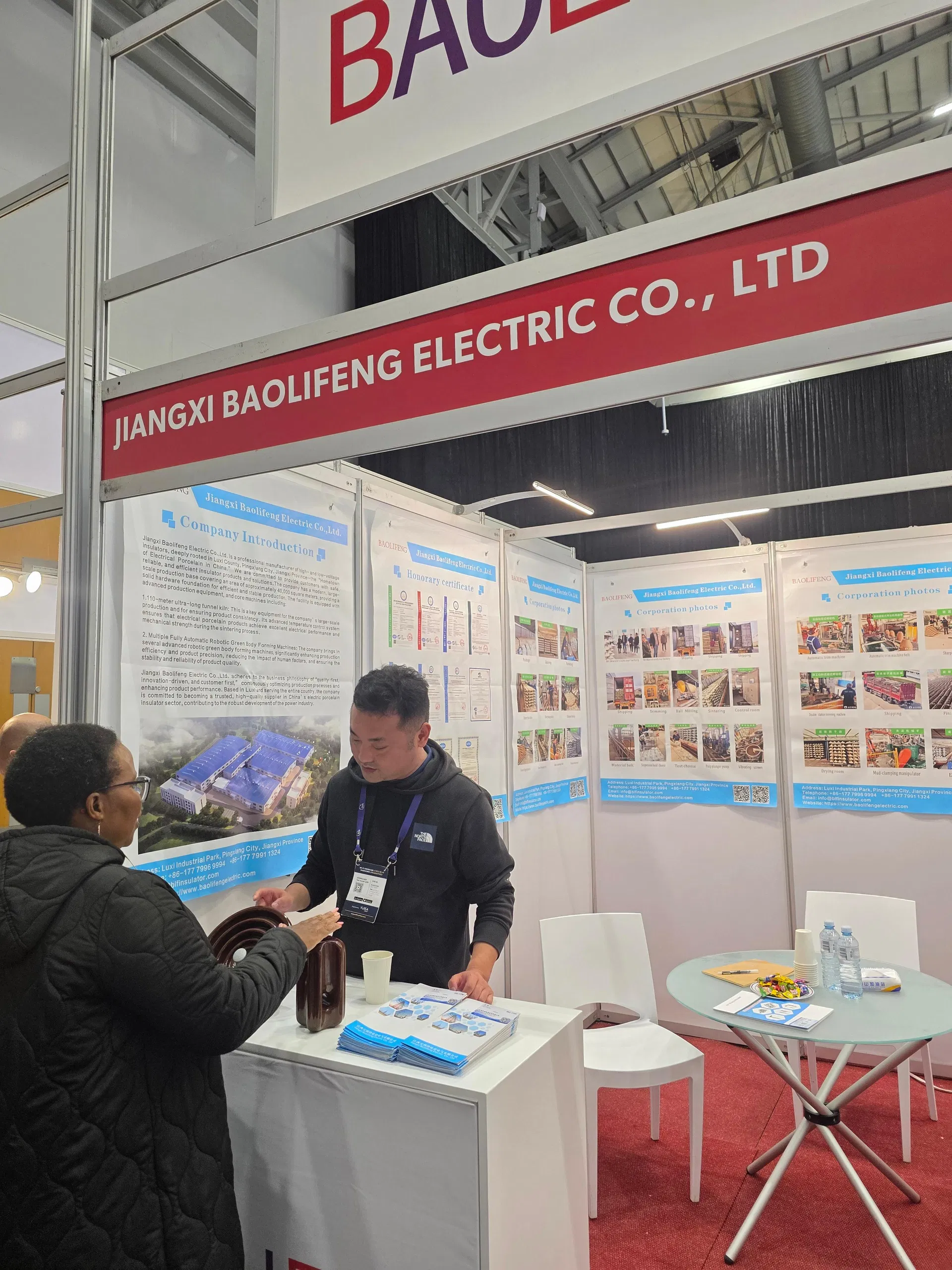 Aisladores de porcelana de tipo pin ANSI Xs-10/30 de alta calidad para líneas de transmisión de energía eléctrica