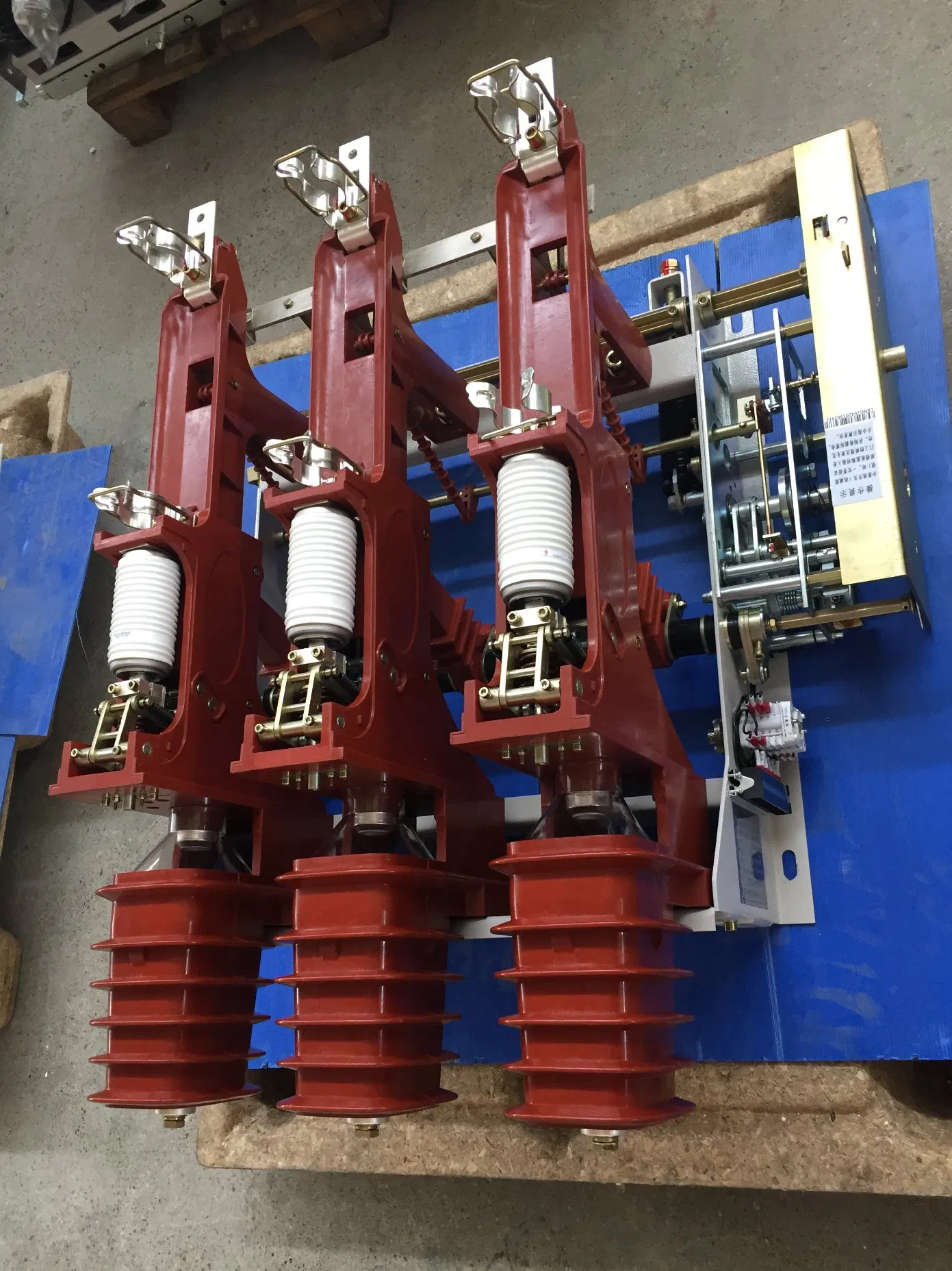 Interruptor de carga interior 11kv LXFZN25-12D/T630-20 (con combinación de fusibles) con informe de prueba de tipo