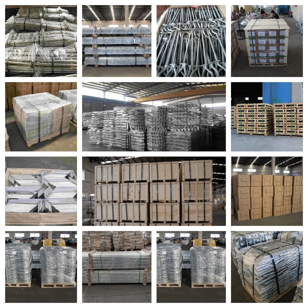 Embalaje de exportación estándar y logística