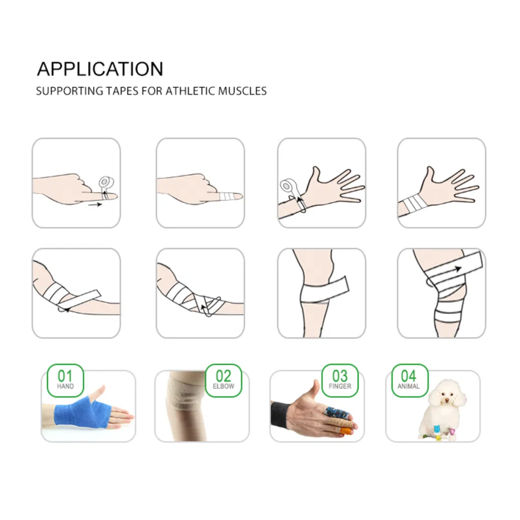 Features At A Glance