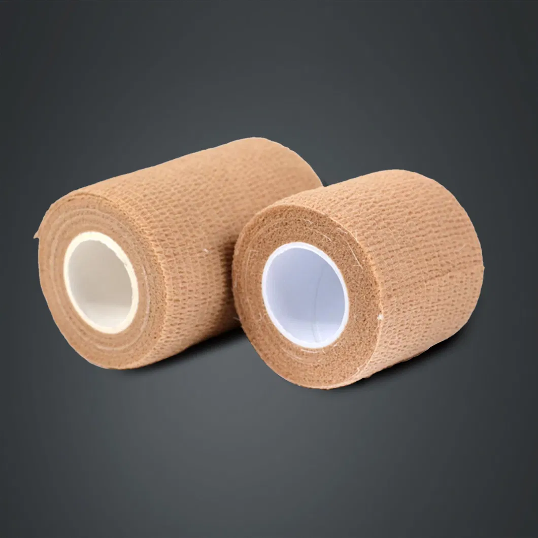 Detailed Bandage View 2