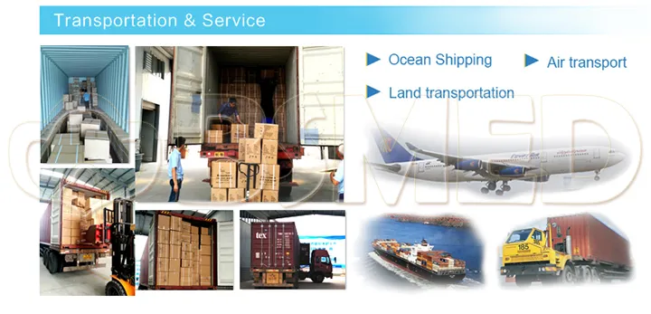 Transportation and Logistics