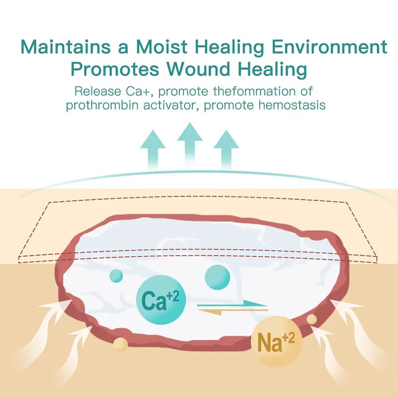 High Absorbency Dressing