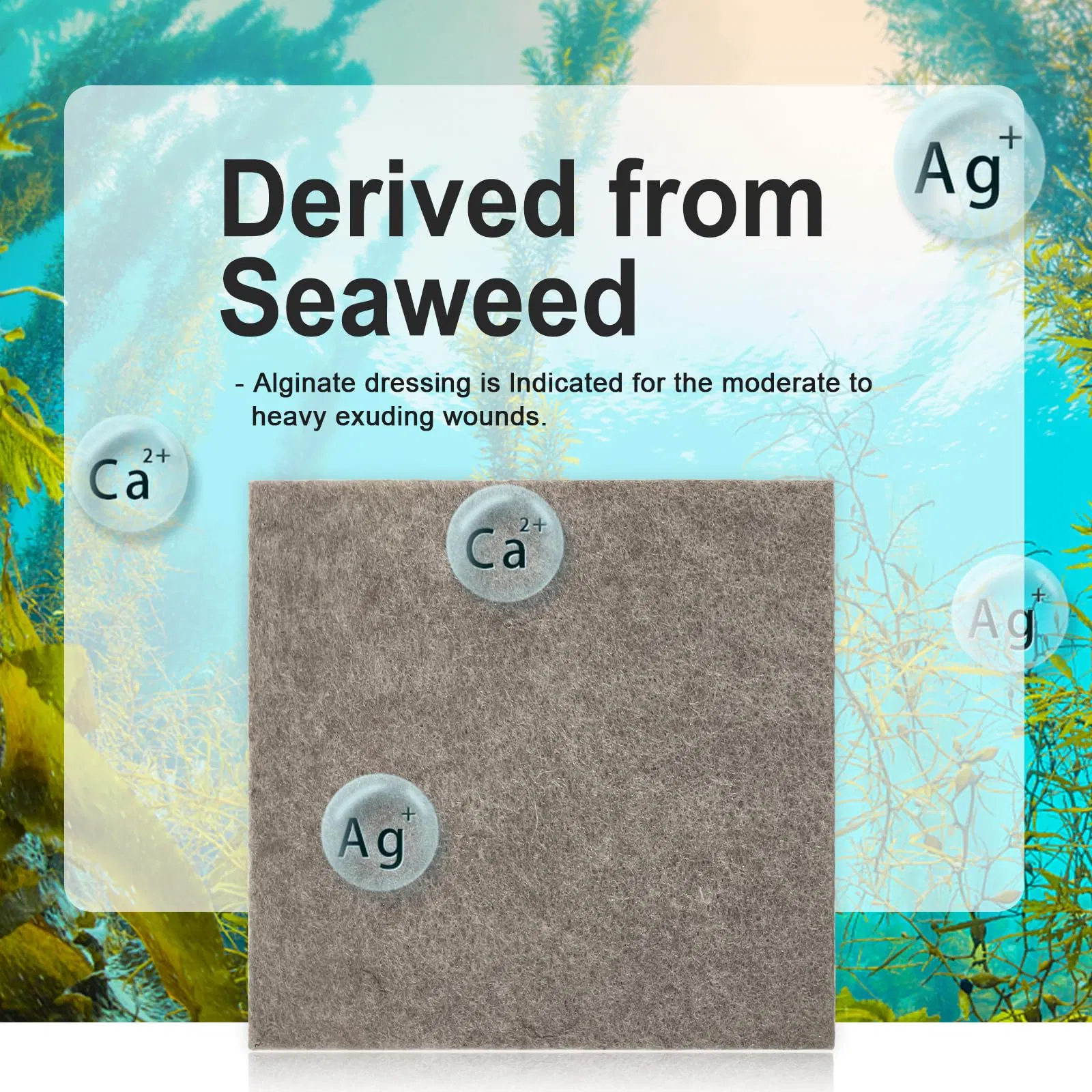 Silver Alginate Dressing 1