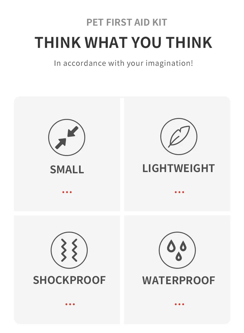 First Aid Kit Interior