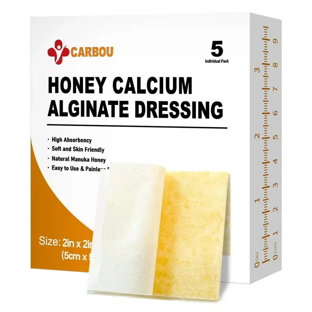 Wound Dressing Detail 1